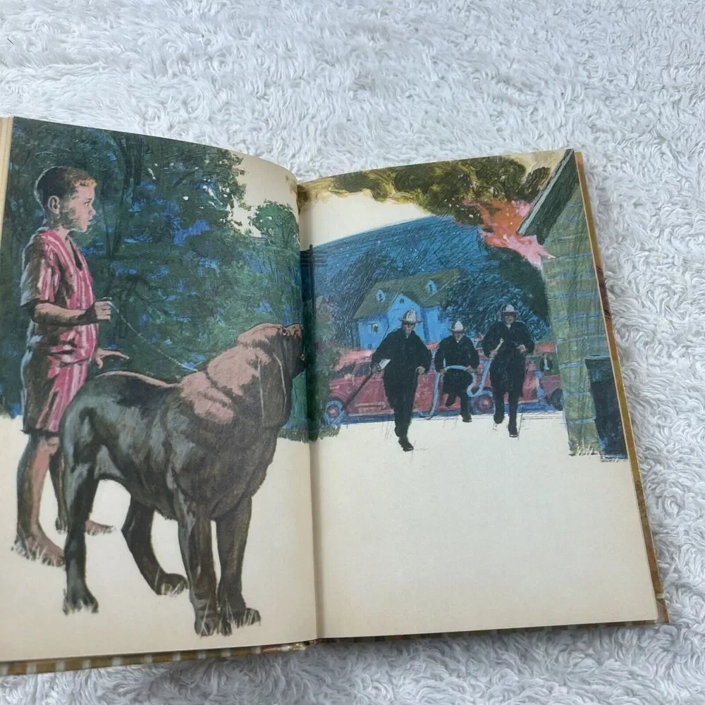 1966 Here Boy! Lots of Stories for‎ Everyone Who Likes Dogs Whitman HC Good
